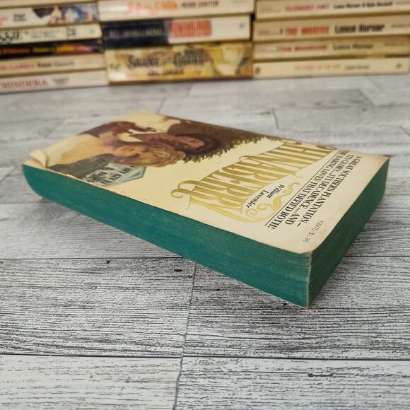 Chinaberry by William Lavender 1976 Pyramid Paperback Historical Fiction - Picture 10 of 13